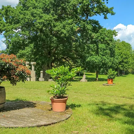 Haus Birgit A 公寓 *